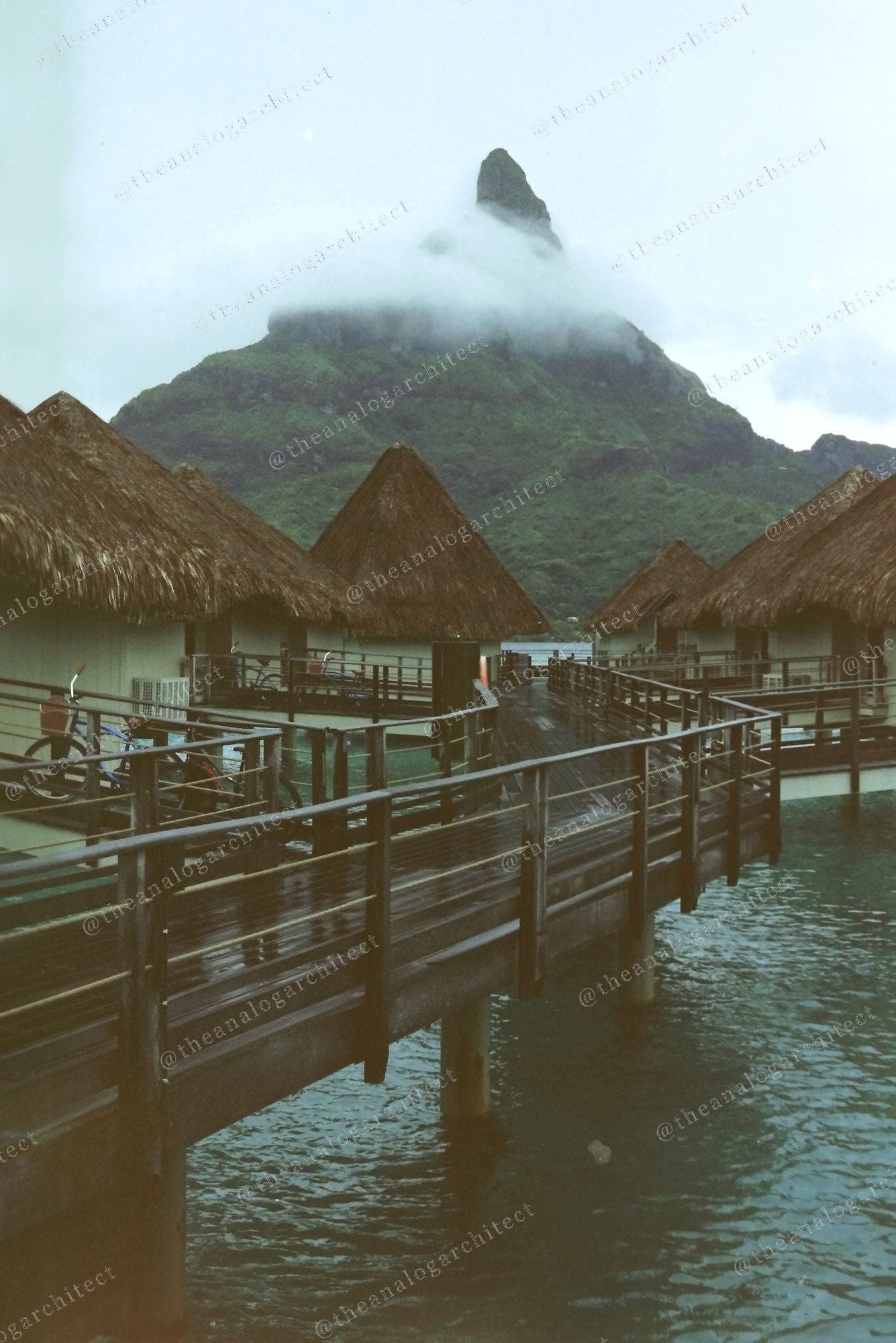 The Boardwalk