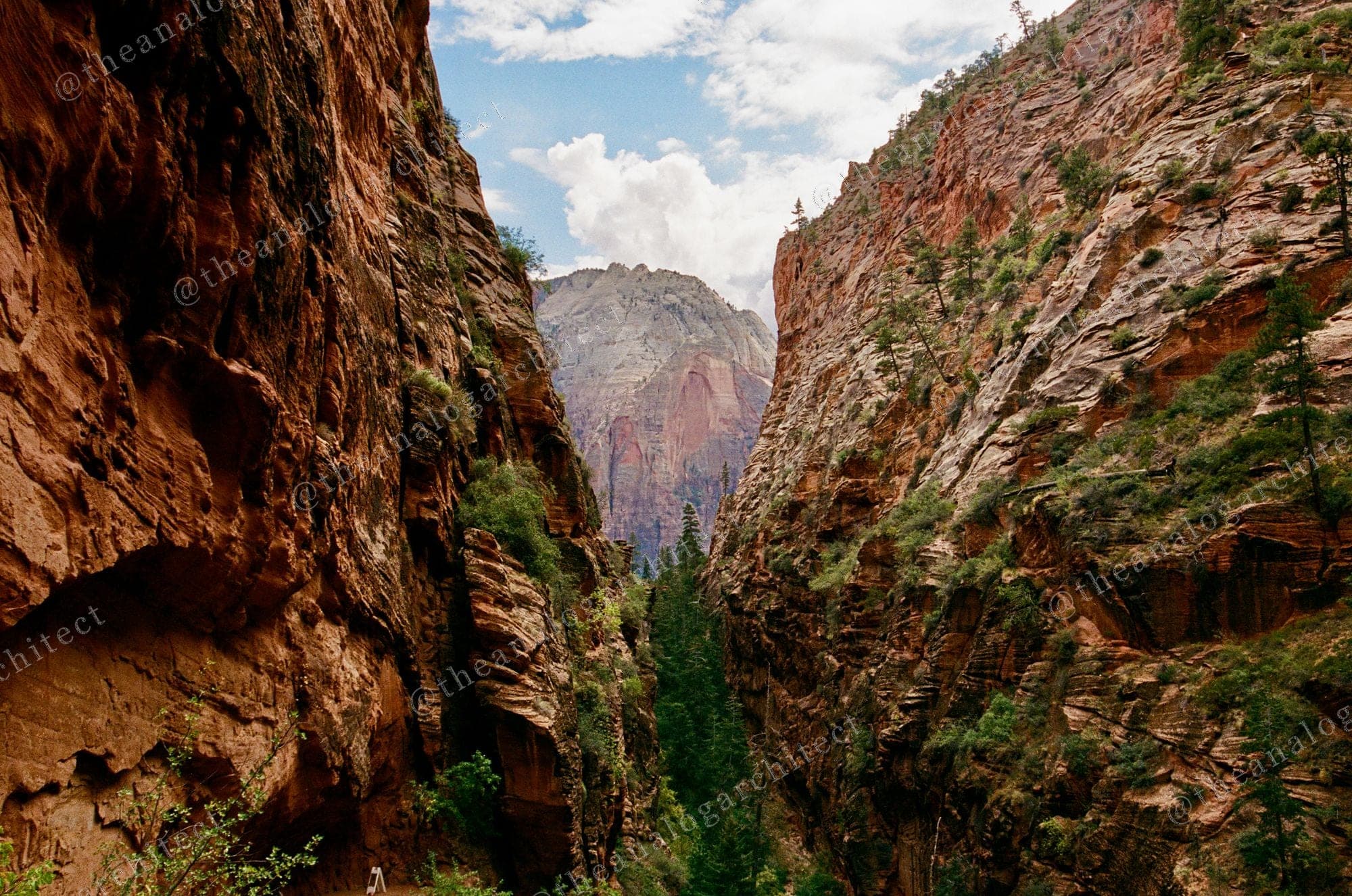 Canyon Gate