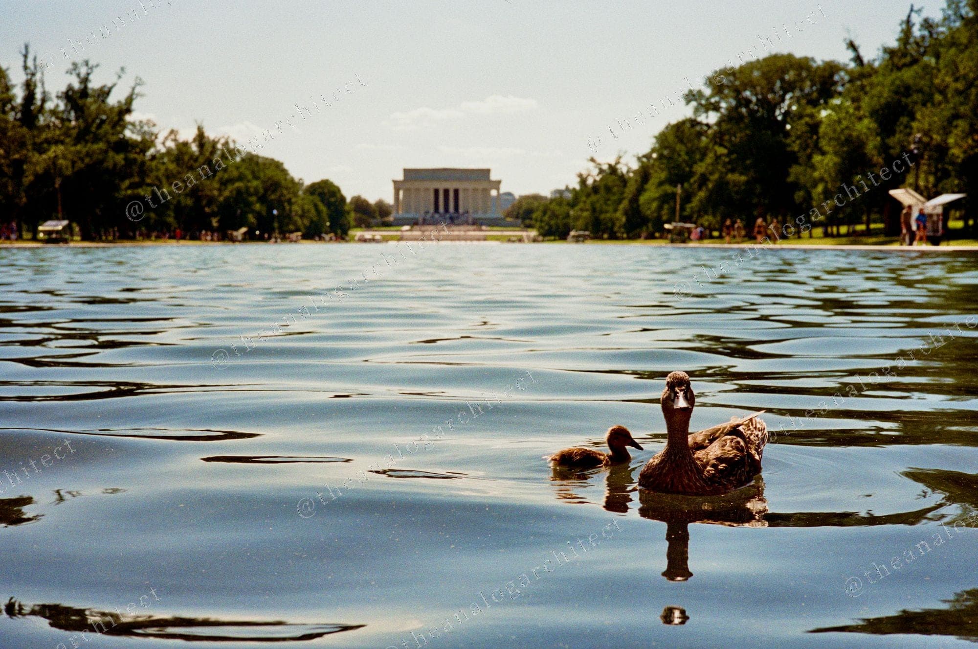 Reflecting Pool