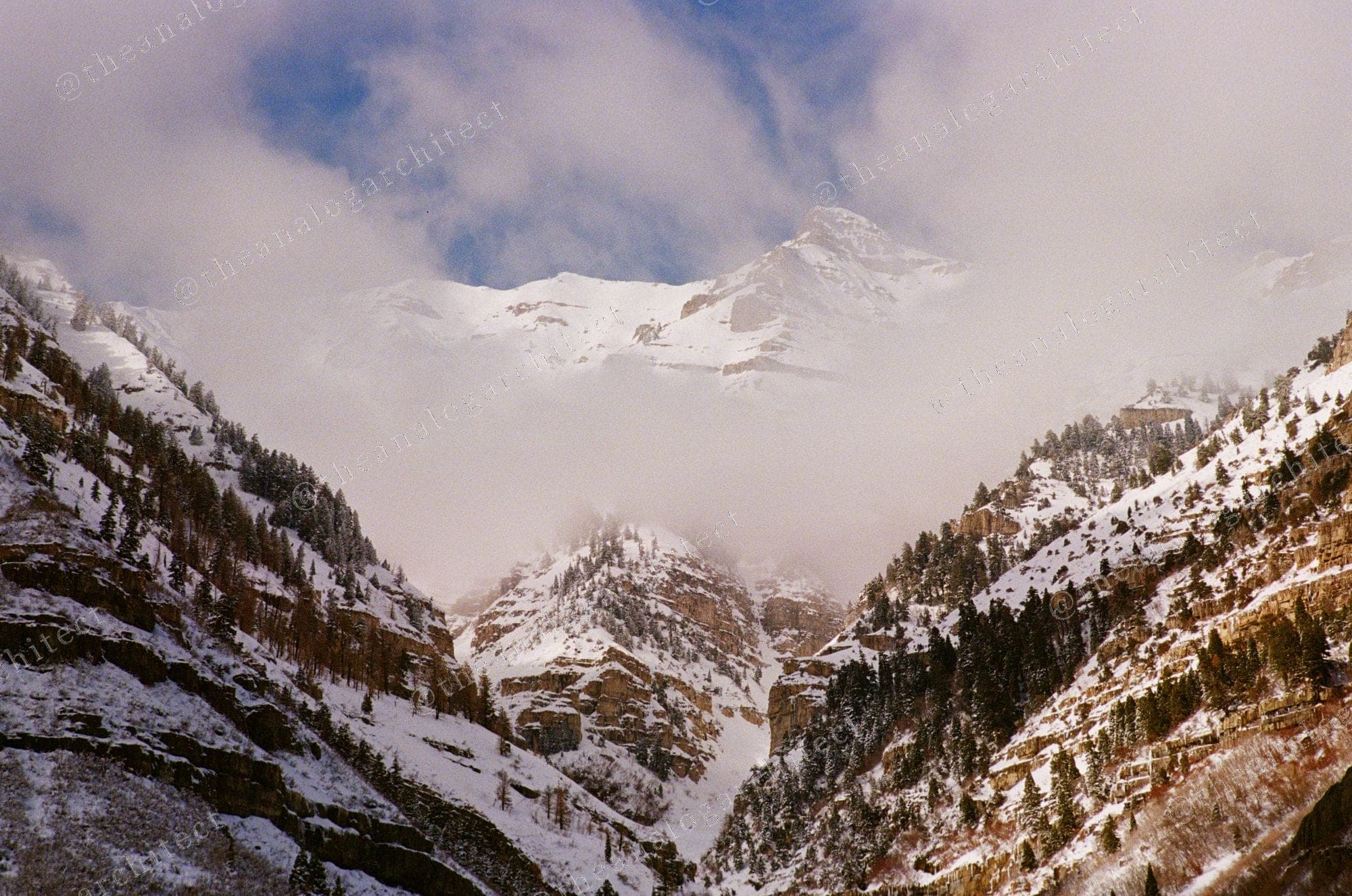 Timpanogos