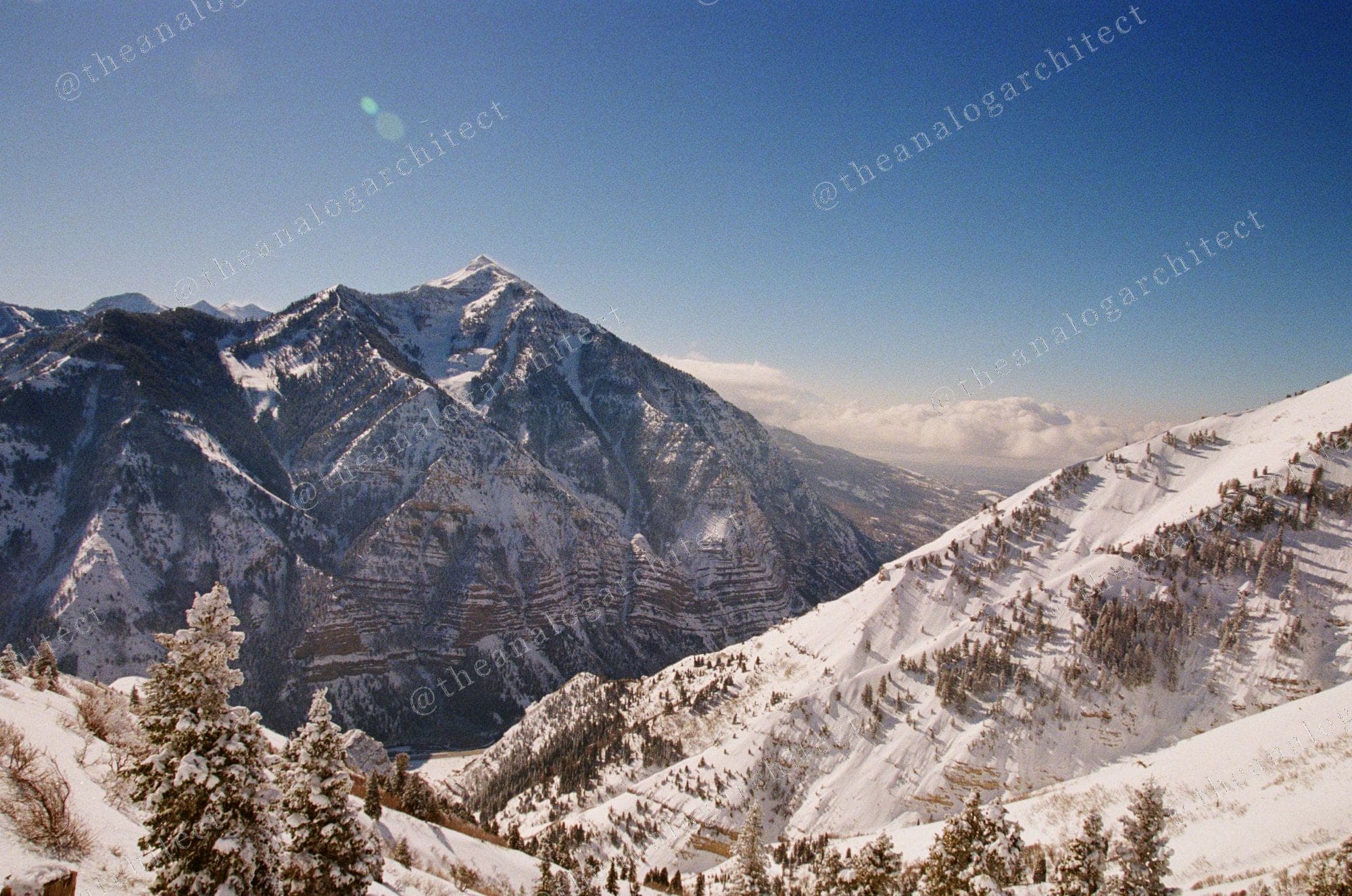 Wasatch Winter